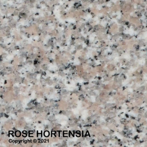 023 roseHortensia