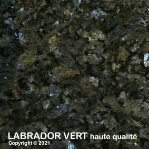 057 labradorVertHQ